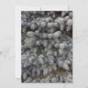 Steel, grey, green and blue spruce classy invitation
