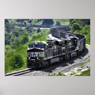 Steel Snake Poster