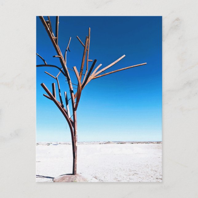 Steel Tree, Coober Pedy Australia Postcard (Front)