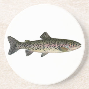 Steelhead (Great Lakes) Coaster