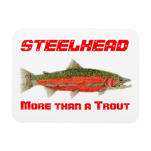 Steelhead- More than a Trout Magnet (Horizontal)