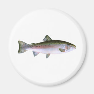 Steelhead Rainbow Trout Fishing Logo Magnet