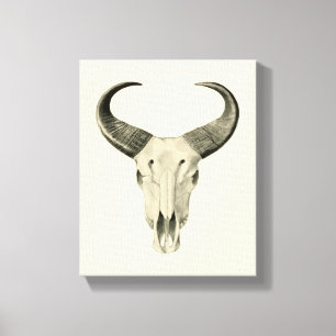Steer Skull Canvas Print