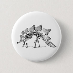 Stegosaurus Dinosaur Skeleton Fossil 6 Cm Round Badge