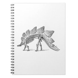 Stegosaurus Dinosaur Skeleton Fossil Notebook