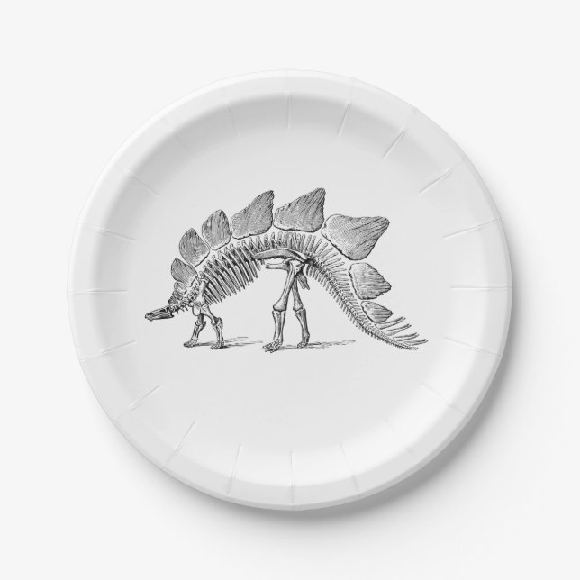 Stegosaurus Dinosaur Skeleton Fossil Paper Plate (Front)