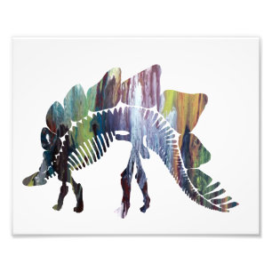Stegosaurus Photo Print