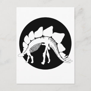 stegosaurus skeleton postcard