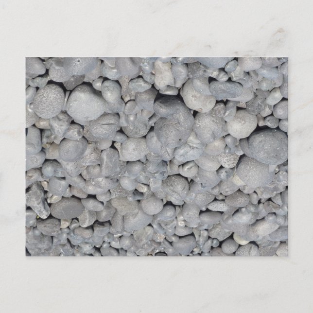 Stein Postcard (Front)