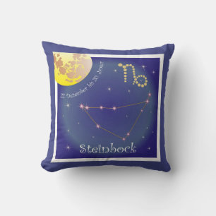 Steinbock 22 December to 20 January cushions