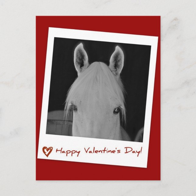 Stella Postcard (Front)