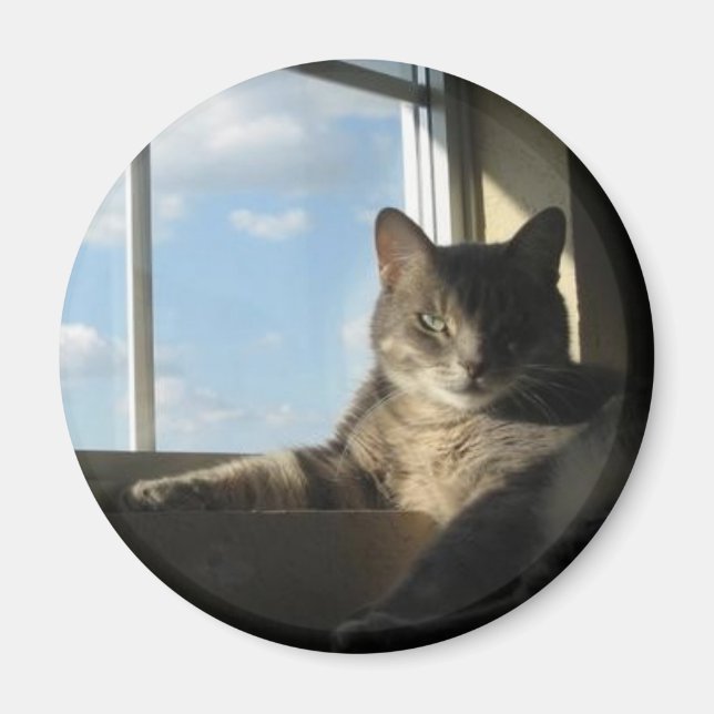 stella window magnet (Front)