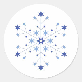 Stellar Beginnings Classic Round Sticker