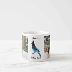Stellar Blue Jay espresso mug