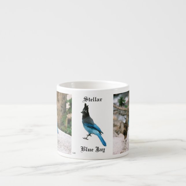 Stellar Blue Jay espresso mug (Front)