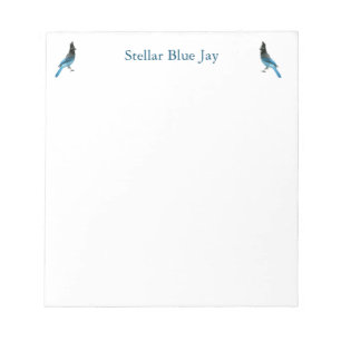 Stellar Blue Jay notepad
