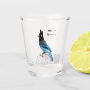 Stellar Blue Jay shot glass