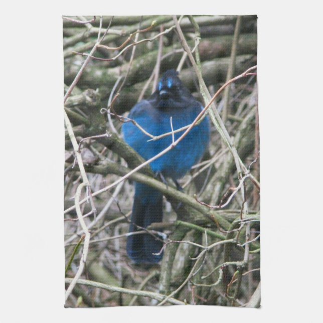 STELLAR JAY TEA TOWEL (Vertical)