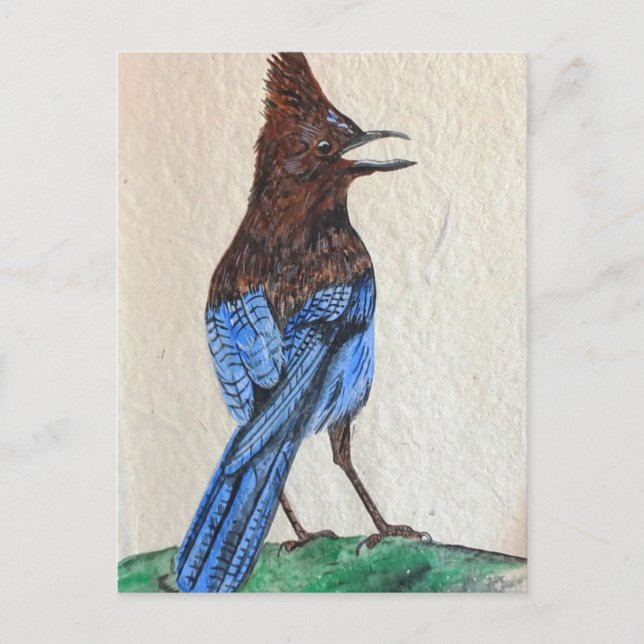 "Stellar" Postcard (Front)