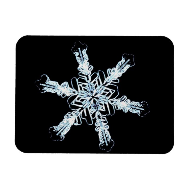 Stellar snow crystal magnet (Horizontal)
