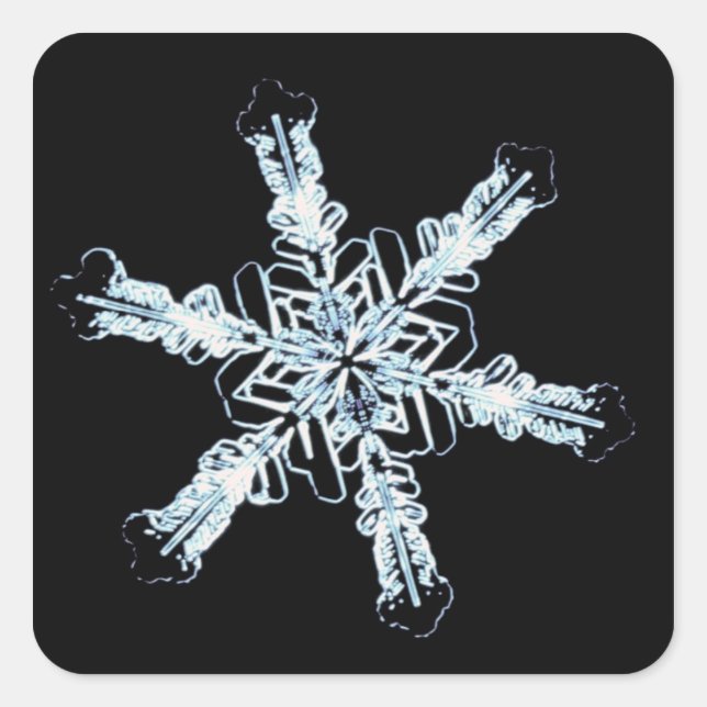Stellar snow crystal square sticker (Front)