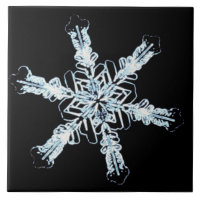 Stellar snow crystal