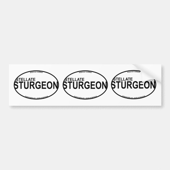 Stellate/Starry Sturgeon Euro Stickers (Front)
