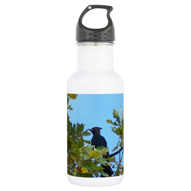 Steller Jay in Oak Tree 532 Ml Water Bottle (Front)