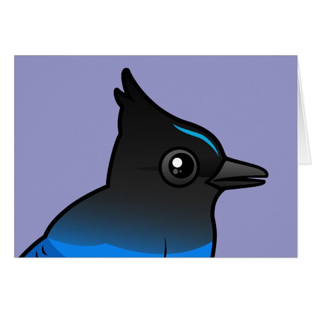 Steller's Jay (Front Horizontal)