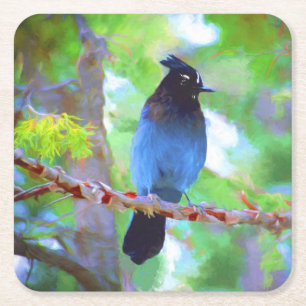 Steller's Jay 2 Painting - Original Bird Art Square Paper Coaster