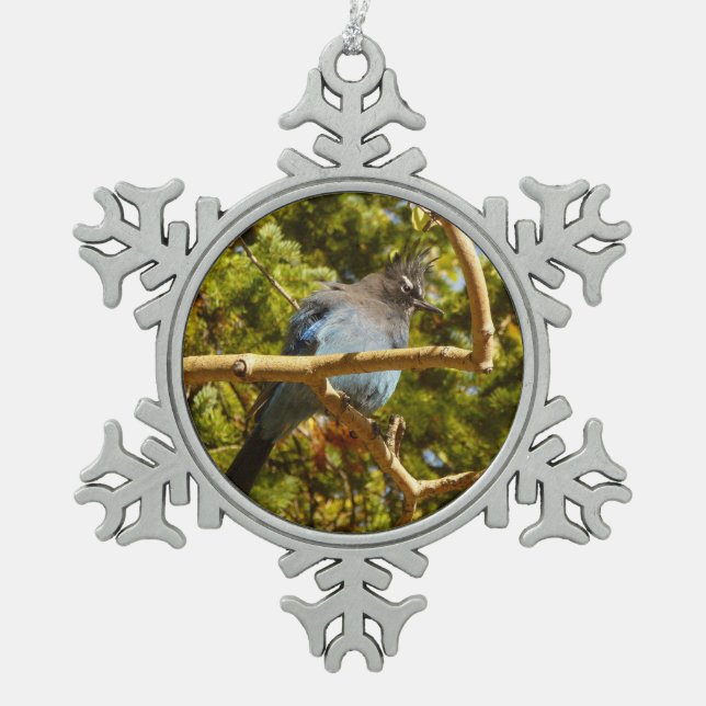 Steller's Jay at Rocky Mountain National Park Snowflake Pewter Christmas Ornament (Front)