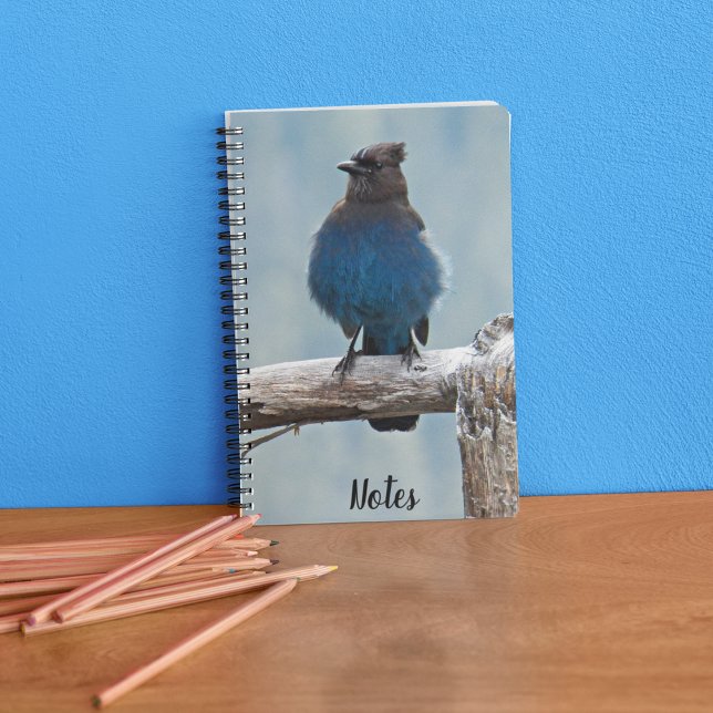 Steller's Jay Bird Photo Notebook (In Situ)