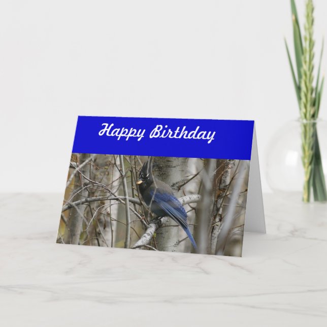 Steller's Jay Birthday Card (Front)