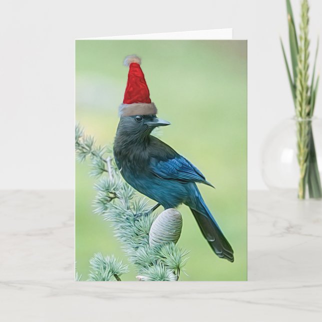 Steller's Jay Christmas Card (Front)