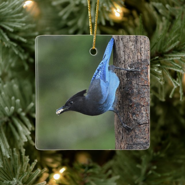 Steller's Jay (Cyanocitta stelleri) Ceramic Ornament (Tree)