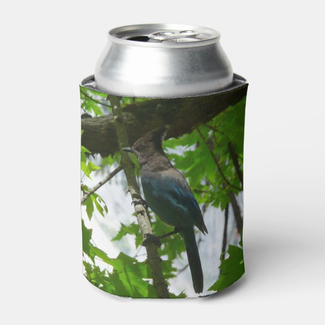 Steller's Jay in Yosemite National Park Can Cooler (Can Front)