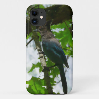 Steller's Jay in Yosemite National Park Case-Mate iPhone Case