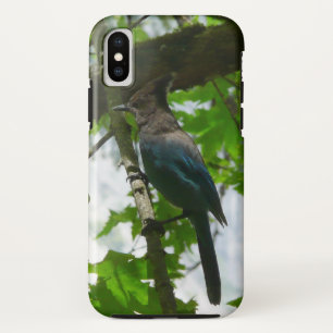 Steller's Jay in Yosemite National Park Case-Mate iPhone Case