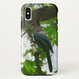 Steller's Jay in Yosemite National Park Case-Mate iPhone Case