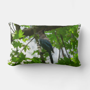 Steller's Jay in Yosemite National Park Lumbar Cushion
