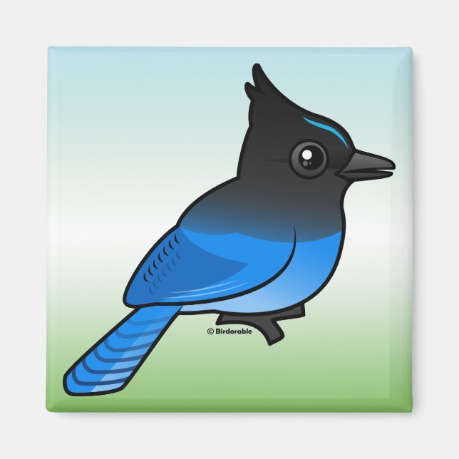 Steller's Jay Magnet (Front)