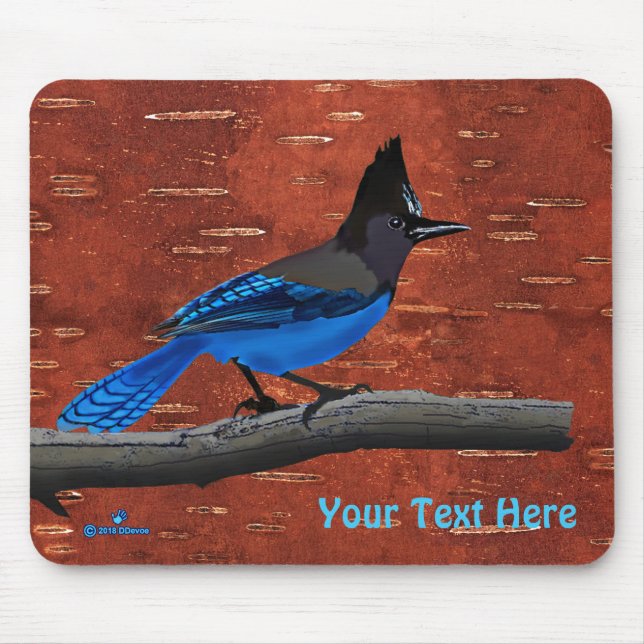 Steller's Jay On Inner Birch Bark Mouse Pad (Front)