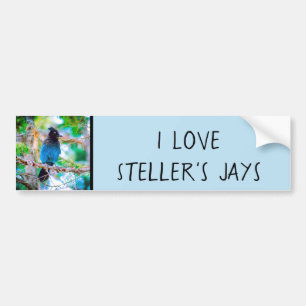 Steller's Jay - Original Photograph Bumper Sticker