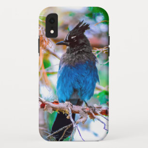 Steller's Jay - Original Photograph Case-Mate iPhone Case