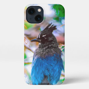Steller's Jay - Original Photograph iPhone 13 Case