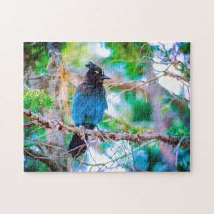 Steller's Jay - Original Photograph Jigsaw Puzzle