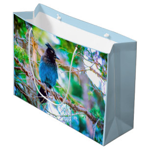 Steller's Jay - Original Photograph Large Gift Bag