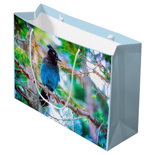 Steller's Jay - Original Photograph Large Gift Bag (Front Angled)