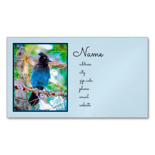 Steller's Jay - Original Photograph Magnetic Business Card