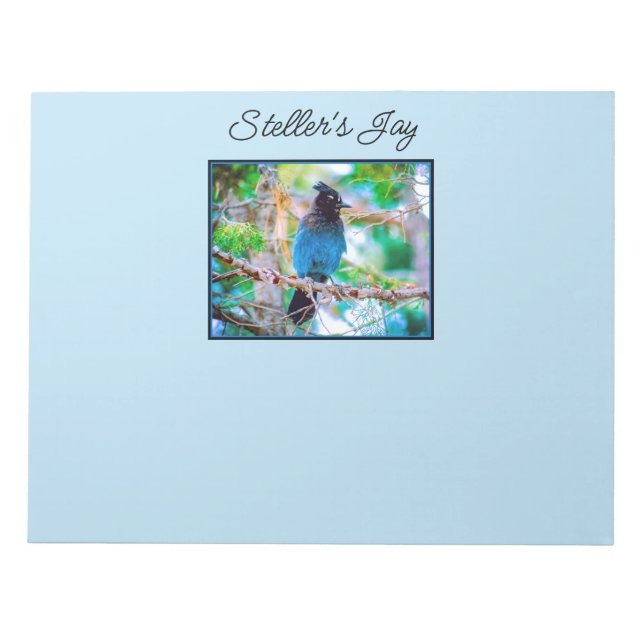 Steller's Jay - Original Photograph Notepad (Front)